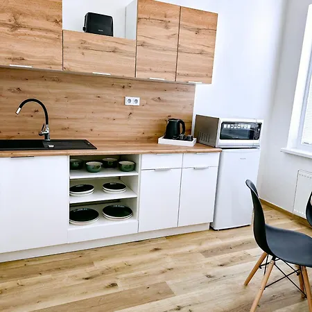 Dmz膳宿旅馆 招待所 俄斯特拉发