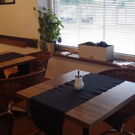 Dmz膳宿旅馆 4* 俄斯特拉发